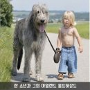 강냥이 네이버블로그
