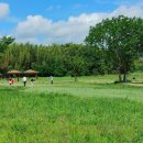 주약남강둔치 이미지