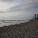 비밀의 사원 이미지