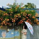 추산경로당 이미지