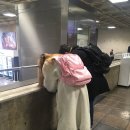 (주)홀리데이투어 네이버블로그