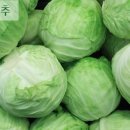 생동한의원 이미지