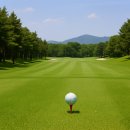 포천스크린 골프존 이미지