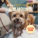 하트약국 이미지