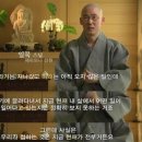 캐일리