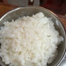 초록담 | 부산 사직동 밥집 ‘초록담 미역국’ 어린이식사 부모님식사 주차 맛집추천(feat. 한치물회 후기)