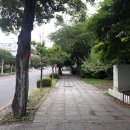 일주동로↔월드컵로45번길 이미지