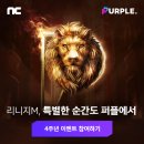 purple PC 이미지