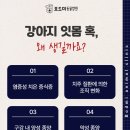 왜관동물병원 이미지