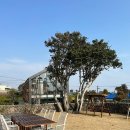 동백낭아래 키즈 독채 펜션 이미지