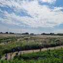 하늘공원 화장실 이미지