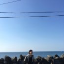 다인김밥 이미지