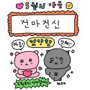 25년 4월 5째주~5월 1째주 호랑이의 일상 일기