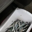 구산면511 이미지