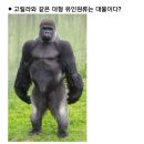 야한여자미용실 이미지