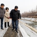 청보리