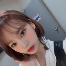 꽃길만 걷장 이미지