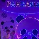 단아네일 | 4살 2살 아이둘과 평일 에버랜드 다녀온 찐 후기! 1탄!