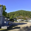 밤머리재홍단풍거리 이미지