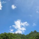 멍타주 | 금방아캠핑장 재방문 강원도 영월 법흥계곡에서 물놀이만 24시간