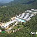 영농조합법인 무지개농장 이미지