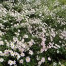 여수동초등학교 이미지