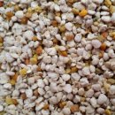 김경애농장 이미지