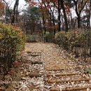 숲속 부엉이 어린이 공원 이미지