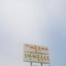 정동진전복뚝배기