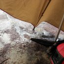 몽산포 송림 이미지