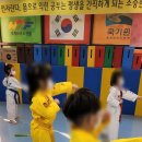 당리태권도 이미지