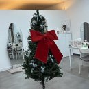 뷰티 다옴 이미지