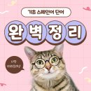 기초 스페인어 이미지