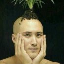 블리 이미지
