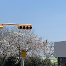 대륜세탁소 이미지