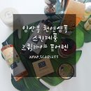 임산부 천연샴푸,천연 바디클렌저, 천연스킨,천연 크림 추천 르퀼라야 퓨어텐 순수후기