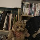카페비플러스