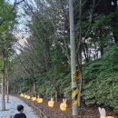 노다지 | 예산 스플라스 리솜근처 저녁 돼지고기집 가야노다지 내돈내산 후기