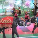 점보빌리지 이미지