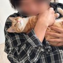 합강캠핑장(프리캠핑존) | 세종 합강캠핑장 프리캠핑존 3번 사이트(11.7.-11.9.)