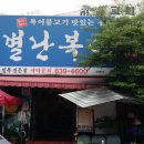 별난복어 이미지