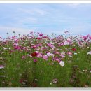 하늘정원2 이미지