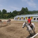 통도승마랜드 이미지