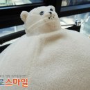 강남심리치료센터