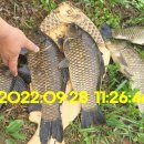 신원대로-9 이미지