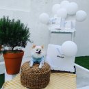 오파프부산 이미지