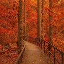 (주)가야호텔 | 🍁 가을 단풍 여행지 BEST 7 (가족·커플·혼자 다 좋아요)