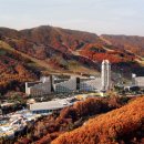 더만실 네이버블로그