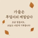 🍂 가을 따숩이 투덜이의 계절입니다 조금 힘들어도, 오늘도 나답게 기록합니다. 🌾