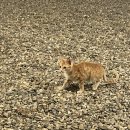 펜션다솔강B 이미지